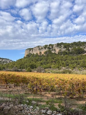 Gorges de la Goutine et grottes préhistoriques - Gruissan - 39