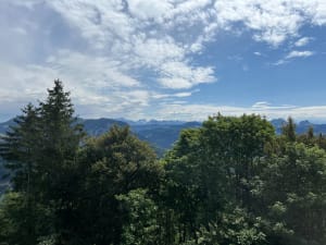 Monter au Mont Forchat et planer au sommet - Habère-Poche - 7
