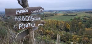 Au cœur de la réserve naturelle des Coteaux du Pont Barré - Beaulieu-sur-Layon - 16