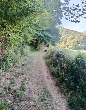 Boucle au Mail de Hard depuis Saint Bertrand de Comminges - ISA - 5