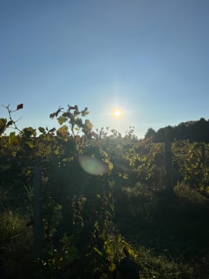 Première sortie sur l'estuaire - Valeyrac - 4