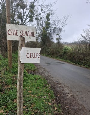 Balade autour de Latresne et Cénac - Cenac - 6