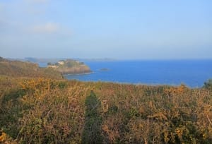 Petite balade à Cancale sur des chemins accessibles - Cancale - 10