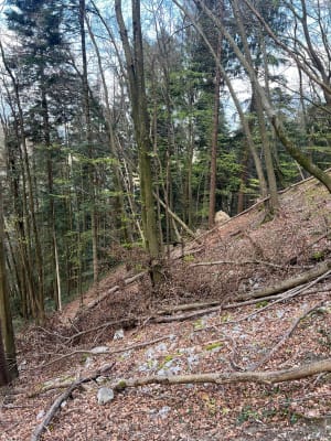 Cascade du Furet - Barraux - 9