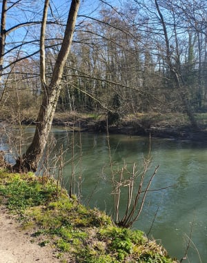Un Dimanche à Epinay, le long de l'Yerres - Boussy-Saint-Antoine - 3