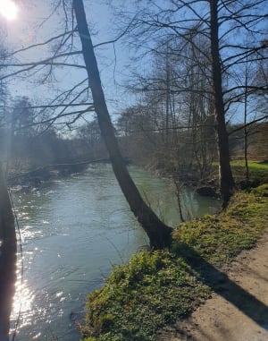 Un Dimanche à Epinay, le long de l'Yerres - Boussy-Saint-Antoine - 4