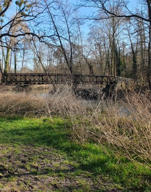 Un Dimanche à Epinay, le long de l'Yerres - Boussy-Saint-Antoine - 5