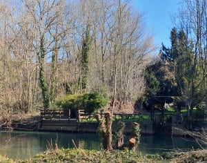 Un Dimanche à Epinay, le long de l'Yerres - Boussy-Saint-Antoine - 7
