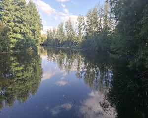 Wandel rond het Heron-natuurreservaat in Villeneuve d'Ascq - Forest-sur-Marque - 7
