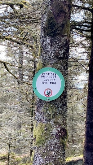 Roches du Sapin, de l'Ormont et Tête de Raves - Nayemont-les-Fosses - 7