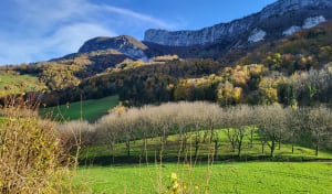 Les gorges du Gorgonnet par le chemin de la Gaffe - Saint-Gervais - 31