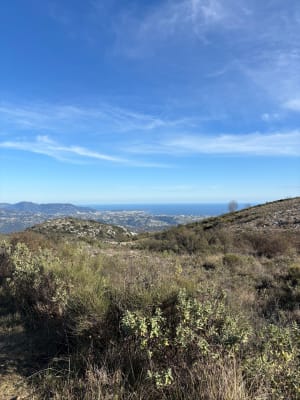 Vence et ces Baous (Noirs et Blancs ). - Vence - 17
