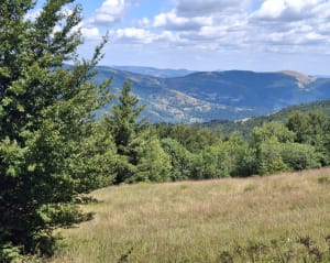 Tour panoramique du Grand Ballon - Soultz-Haut-Rhin - 5