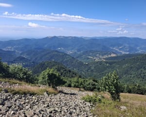 Tour panoramique du Grand Ballon - Soultz-Haut-Rhin - 7