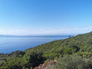 Les crêtes à Ajaccio - Ajaccio - 13