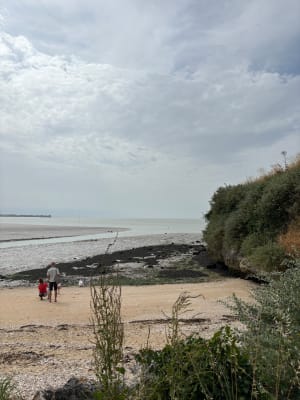 Balade sur le port et la corniche de Meschers-sur-Gironde - Meschers-sur-Gironde - 10