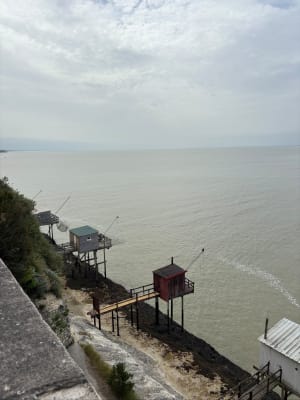 Balade sur le port et la corniche de Meschers-sur-Gironde - Meschers-sur-Gironde - 11