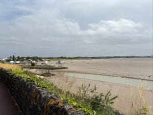 Balade sur le port et la corniche de Meschers-sur-Gironde - Meschers-sur-Gironde - 12