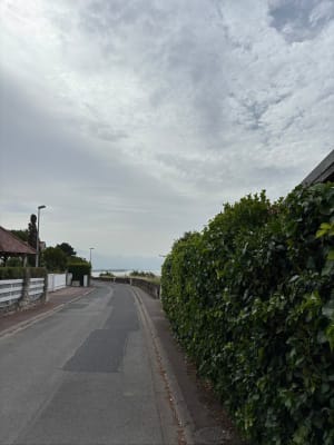Balade sur le port et la corniche de Meschers-sur-Gironde - Meschers-sur-Gironde - 13