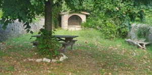 Potelières et Puech Fénouliet - Potelières - 7
