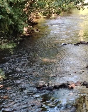 Boucle de Plouguenast le long du Lié - Plouguenast-Langast - 8