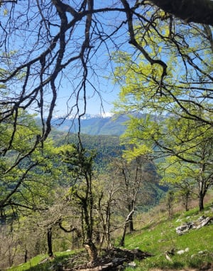Le tour du Rey - Castet - 2