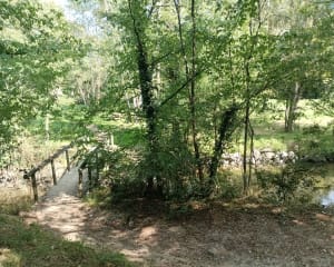 L'île de la Merlerie jusqu'au moulin du Furet - Rives de l'Yon - 13