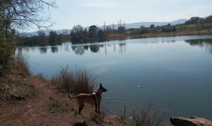 Boucle autour des 2 lacs du Cannet des Maures - Le Cannet-des-Maures - 12