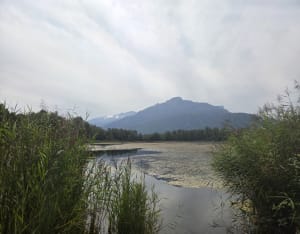 Balade sur les bords de l'Arve - Saint-Pierre-en-Faucigny - 5