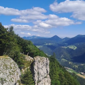 Le Morond et le Mont d'Or - Tiffany - 8