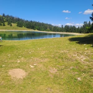 Le Morond et le Mont d'Or - Tiffany - 9
