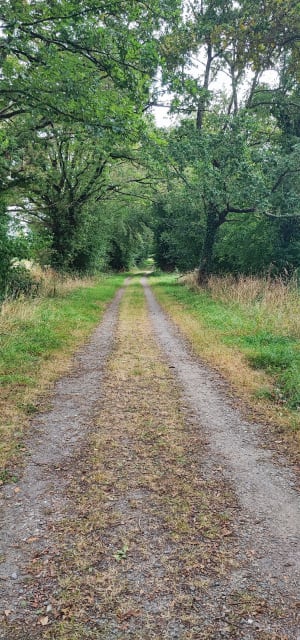 Lormandière-circuit vanuit Bruz - Maike - 5