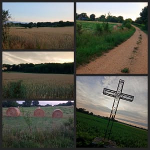 Alentours de Cheffes et Juvardeil - Cheffes - 8