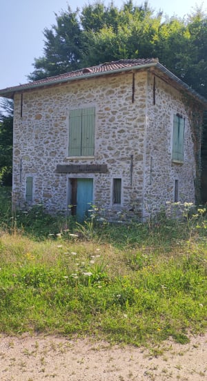 Forêt de Choqueuse et bois de Doue - Joyce - 2