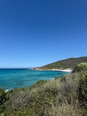 Balade d’Avril, ventée aux plages de Bodre et Ghjunchetu ️ - Corbara - 10
