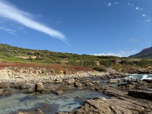 Balade d’Avril, ventée aux plages de Bodre et Ghjunchetu ️ - Corbara - 11