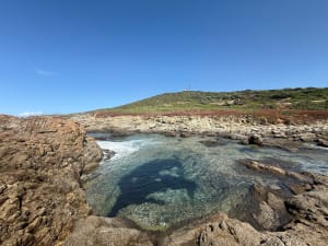 Balade d’Avril, ventée aux plages de Bodre et Ghjunchetu ️ - Corbara - 12