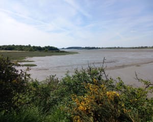 Boucle de Bihrit, forêt et golfe du Morbihan - Theix-Noyalo - 5