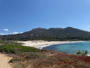 Balade d’Avril, ventée aux plages de Bodre et Ghjunchetu ️ - Corbara - 13