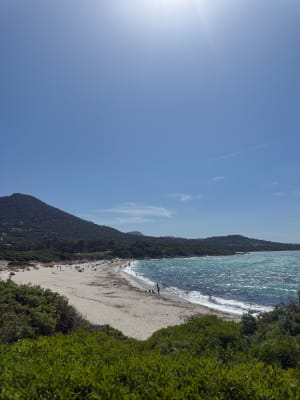 Balade d’Avril, ventée aux plages de Bodre et Ghjunchetu ️ - Corbara - 14