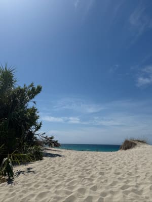 Balade d’Avril, ventée aux plages de Bodre et Ghjunchetu ️ - Corbara - 15