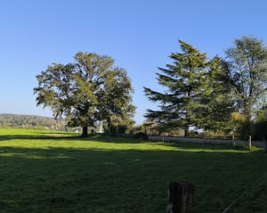 Le moulin de Chambon- Condat sur Vienne - Jourgnac - 8