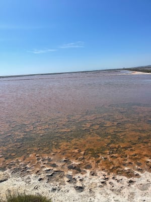 La Route des Salins - Gruissan - 4
