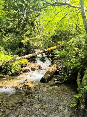 Cascade de la Pisserote - Saint-Joseph-de-Rivière - 8