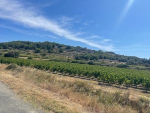 La Route des Salins - Gruissan - 5