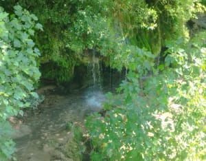 Gorge de la Siagne et les Moulins - Saint-Cézaire-sur-Siagne - 7