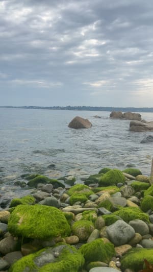 Balade cool de la pointe du château en passant par la ville. - Perros-Guirec - 16