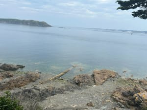 Balade cool de la pointe du château en passant par la ville. - Perros-Guirec - 18
