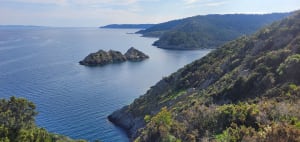 Tour de l'île de Port-Cros et découverte de sa flore - Hyères - 7