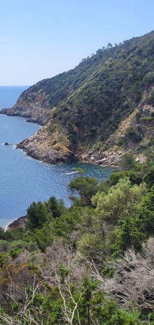 Tour de l'île de Port-Cros et découverte de sa flore - Hyères - 9